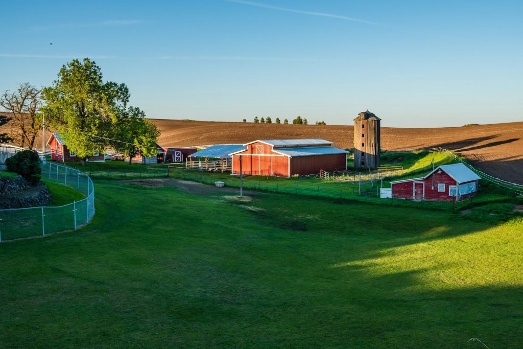 barn on green field